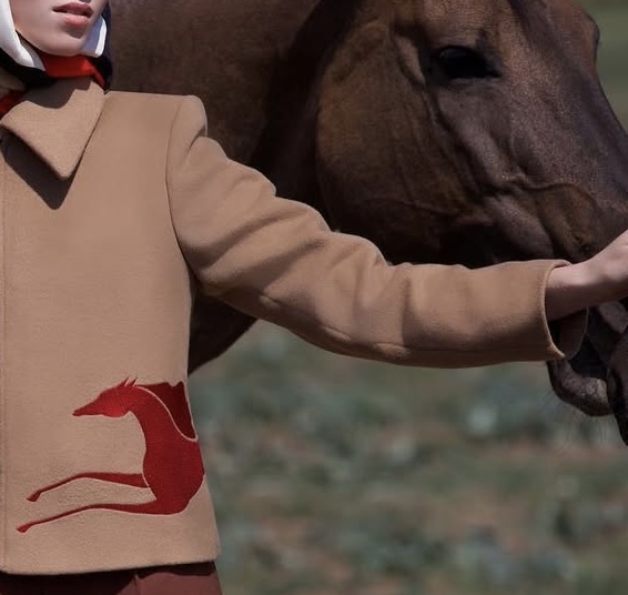 The Year of the Horse